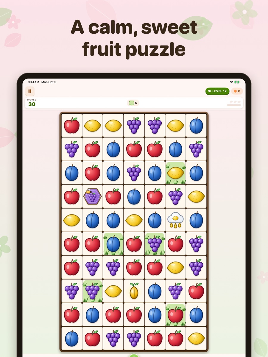 Bountiful Grove iPad 1