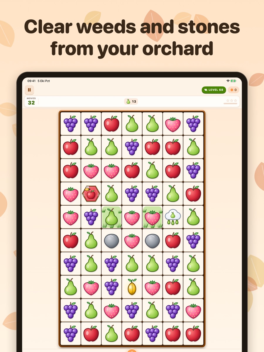 Bountiful Grove iPad 3